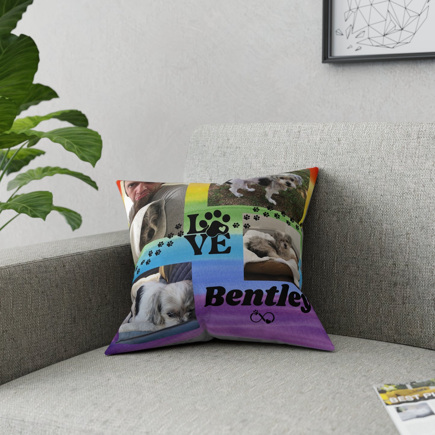 Jay & Bently - Broadcloth Pillow