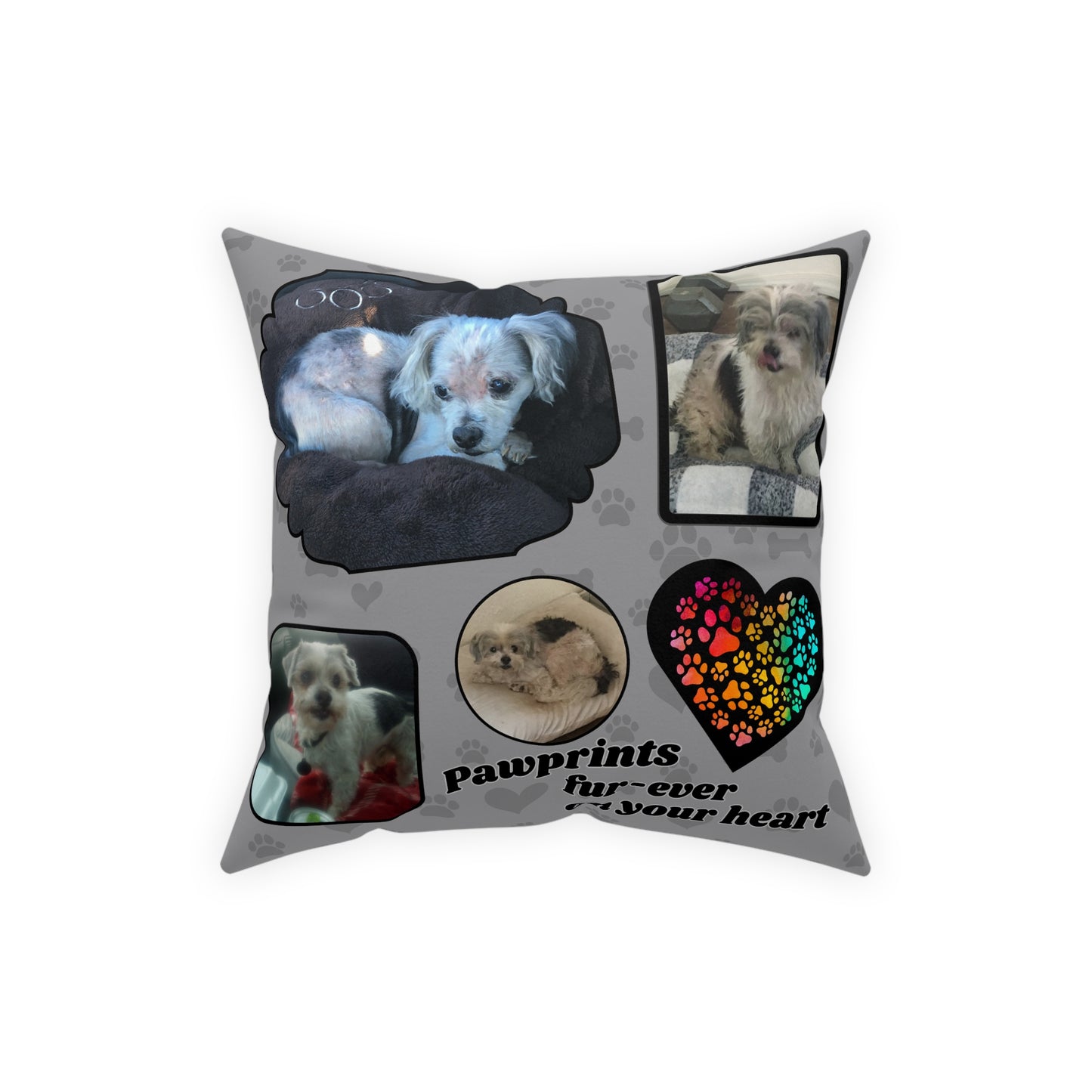 Jay & Bently - Broadcloth Pillow