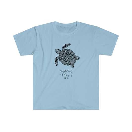 Turtle - Slowly but Surely - Light Colored T - on front